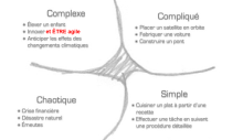 Framework cynefin