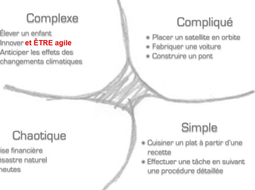 Framework cynefin